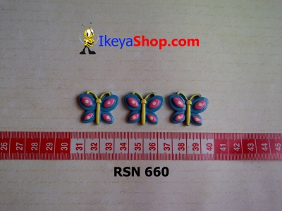 rsn 660  large2